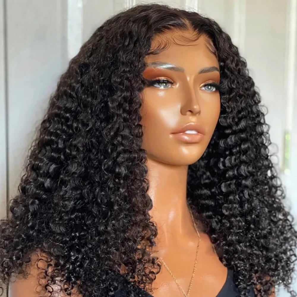 Giselle Dark Brown Curly Lace Front Human Hair Wig