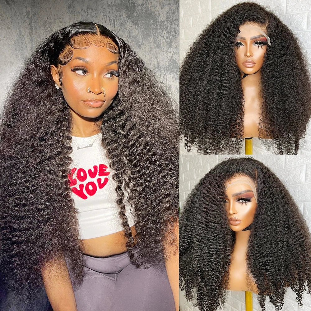 Nicki Natural Brown Curly Deep Wave 360 HD Lace Front Human Hair Wig HEIRCENTRIC