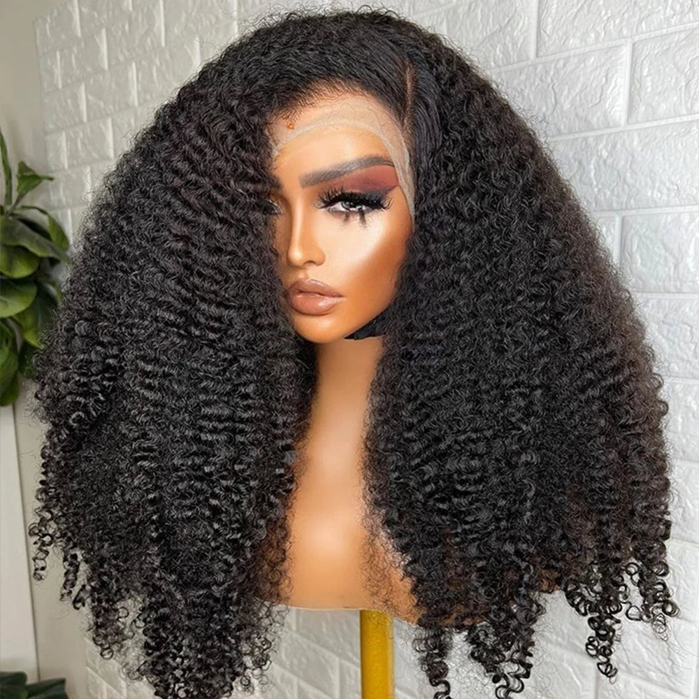 Nicki Natural Brown Curly Deep Wave 360 HD Lace Front Human Hair Wig HEIRCENTRIC